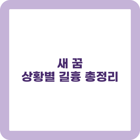 새 꿈 해몽 새가 날아오는 꿈 잡는 꿈 상황별 길흉 정리