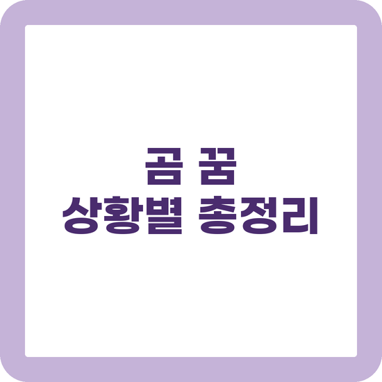곰 꿈 해몽