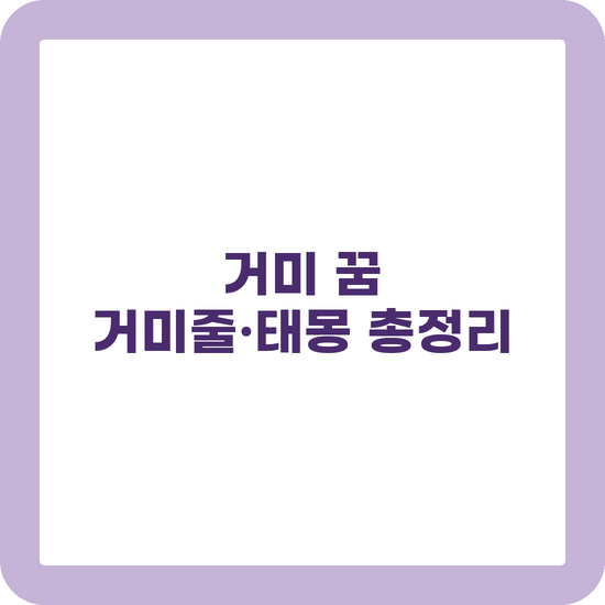 거미 꿈 해몽 거미줄 물리는 꿈 태몽 상황별 길흉 정리